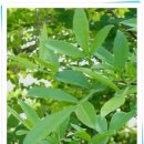 개산초등학교 이미지