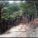 여송목재 이미지