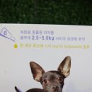 석바위하나약국 이미지