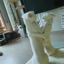 묵자 먹어봐 이미지