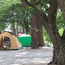 돌배야영장(제1야영장) 이미지