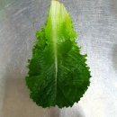 법이네 야채가게 이미지