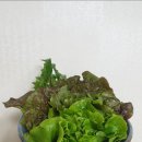 예영 이미지