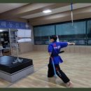 대호 합기도, 해동검도 이미지