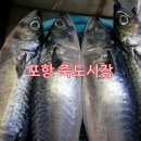 11월7일 포항 오어사 둘레길 단풍과 죽도 어시장 이미지