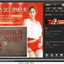 비디랩 아이티데일리