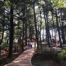 춘추 유아숲체험원 이미지