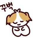 카페903