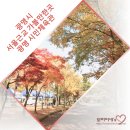 광림2체육관 이미지