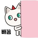 더맛있는족발보쌈양재포이점
