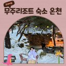 가족호텔 두솔동 | 무주스키장 덕유산리조트 | 두솔동, 온천 노천탕, 보드 후기