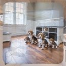 통영시 동물보호센터 | 통영 유기동물보호센터에서 만난 3살 말티즈 보리를 가족으로 맞이했습니다