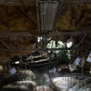 덕암농장 이미지