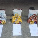 비다펠리즈 피트니스 센터 2호점 이미지