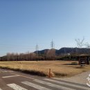 삼호교 화장실 이미지