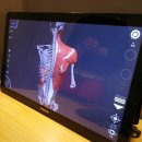 MS24GYM | 삼산동 MS24GYM PT 후기) 도수치료, 근육 테라피로 뭉친 어깨 풀어주기 :D