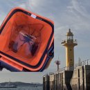 장고항바다 좌대낚시터 | 당진 장고항, 화성 국화도 쭈꾸미, 갑오징어 낚시, 배편, 가격, 좌대 후기