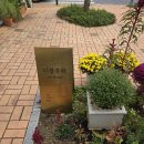 블루메디 | 대전 카페 디블루메 내돈내산후기!!!!