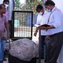 사파이어 이미지