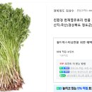 한골농장 이미지