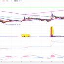 에버메딕스 이미지