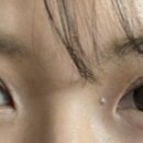 세컨페이스안경 위드렌즈 대연점 이미지