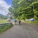 배내무등골길 이미지