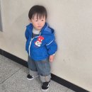 11650-17-116-6 | 칼하트 멜빵바지 키즈 오버롤 데님 브라운 3T 사이즈 코디 후기