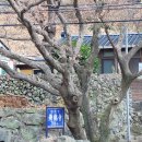 2804회 산행 이미지