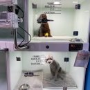 은계동물병원 이미지