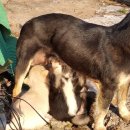 금월농장 이미지