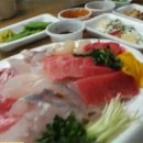 준참치.활어회