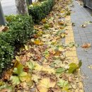 문화의집작은도서관 이미지