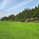 창집목장 이미지