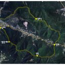 도리사로 이미지