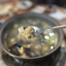 편하고 멋진 옷(양재) | 양재시민의숲 맛집 오늘도보쌈칼국수 양재점 가성비 보쌈과 동죽홍합칼국수 방문후기