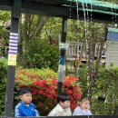 신근마을 | 여주 예크생물원, 경기도 아이랑 가볼만한 곳 추천!