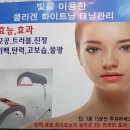 에스테틱신화;케이펄스킨 | 찜질팩 추천 콜라겐 화이트닝 관리가 최고인 케이펄스킨