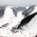 엘리시안강촌콘도 이미지