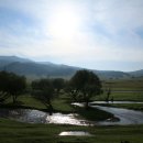 초원의 빛 이미지