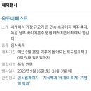 올해 독일 옥토버페스트 가는 사람들이 알면 좋은 꿀팁 이미지