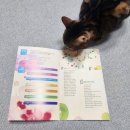 음악극 <친절한 돼지씨> 이미지