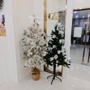 뷰티 | 다산속눈썹맛집 마이제니뷰티 시술 후기