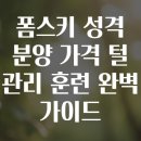 연안축산 - 서구 용소로12번길 6-8 | 폼스키 성격 분양 가격 털 관리 훈련 완벽 가이드