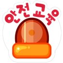 용인대더레전드태권도장