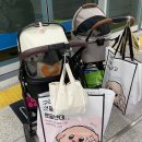 위브미네일 | [부산 해운대 애견동반맛집] 잼잼이와 함께 오데뜨 다녀왔어요🫶🏻