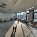 베스트프렌 독 이미지