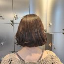 하루다과 이미지