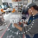 애니네 반려견 미용실 | 🐶✨ 김해정애견미용학원 대박! 프로모션 드디어 공개!