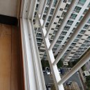 한일약품 이미지